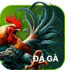 Đá gà