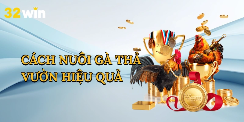 Cách Nuôi Gà Thả Vườn Hiệu Quả