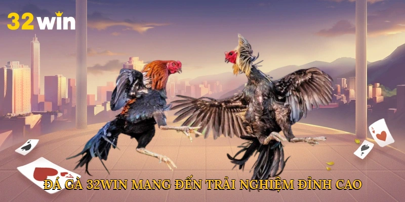Đá gà 32win mang đến trải nghiệm cá cược đỉnh cao