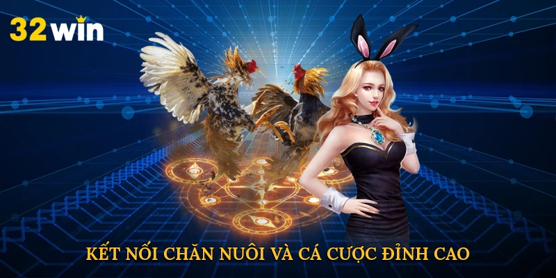 Kết nối chăn nuôi và cá cược đỉnh cao