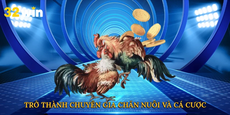 Trở thành chuyên gia chăn nuôi và cá cược